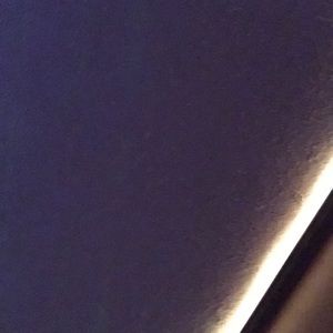 Meet your Posher, Bear